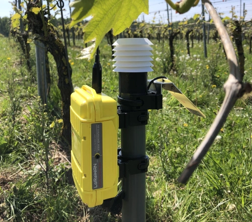 FieldGuard Stations for Vineyards